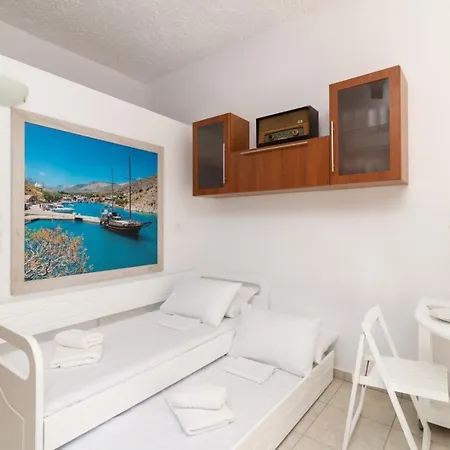 Daire Ibiscus And Lily *