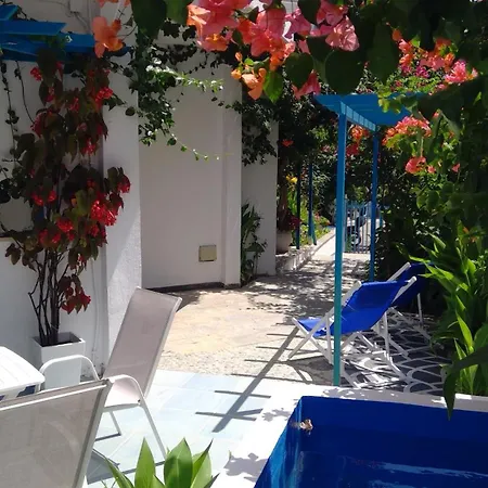 Daire Ibiscus And Lily *