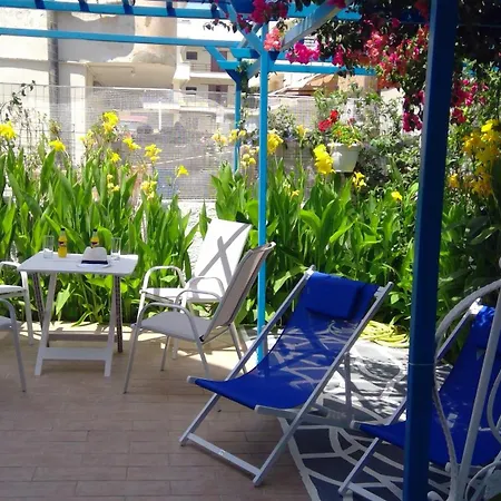 Ibiscus And Lily Rhodes City