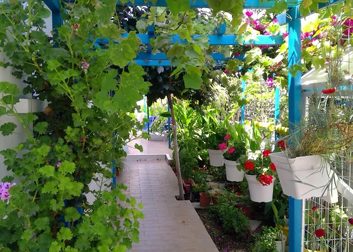 Apartmán Ibiscus And Lily Rhodes City