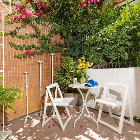 Ibiscus And Lily Apartment