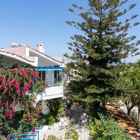 Ibiscus And Lily Apartman Rhodes City