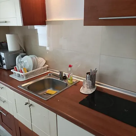 Ibiscus And Lily Rhodes City