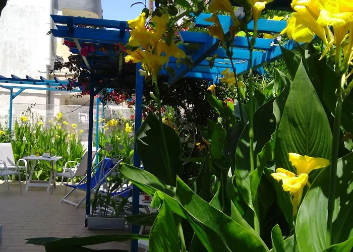 Διαμέρισμα Ibiscus And Lily *