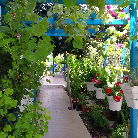 Apartman Ibiscus And Lily Rhodes City